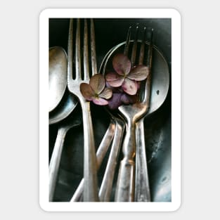 Vintage Spoon Still Life Sticker